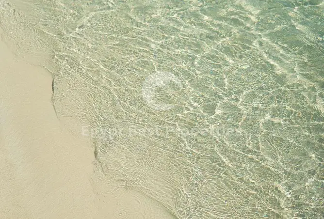 113521749 - Property Image 3