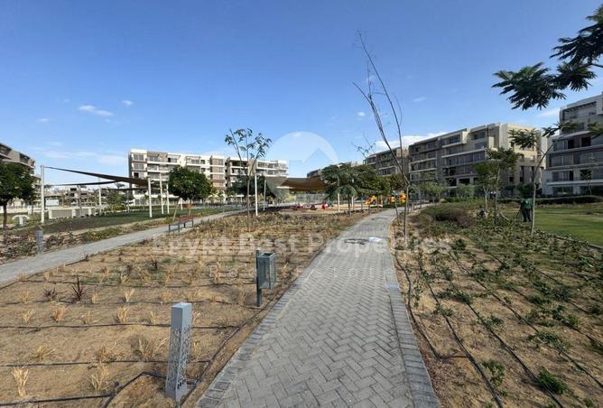 53873621 - صورة العقار 3