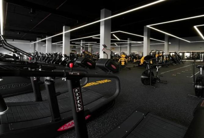 8527856 - Property Image 3