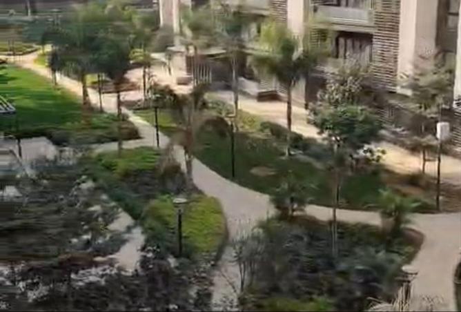 8425438 - صورة العقار 3