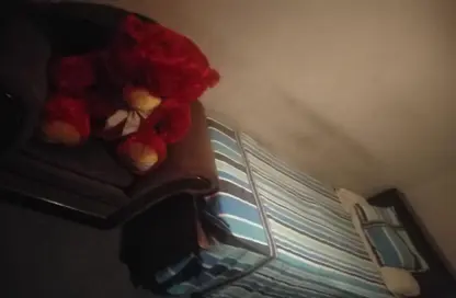 Apartment - 4 Bedrooms - 3 Bathrooms for sale in Mosadak St. - Dokki - Giza