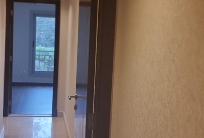 95203318 - Property Image 2