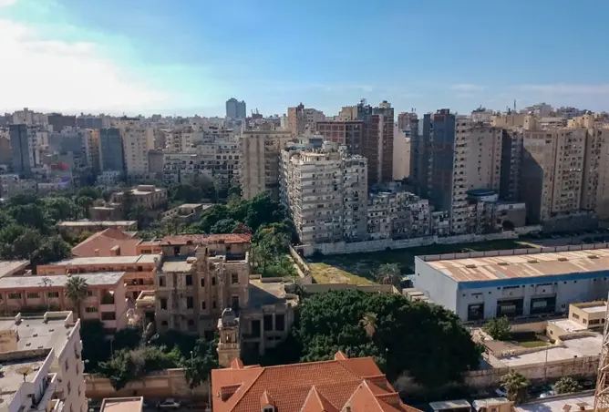 94646225 - صورة العقار 2
