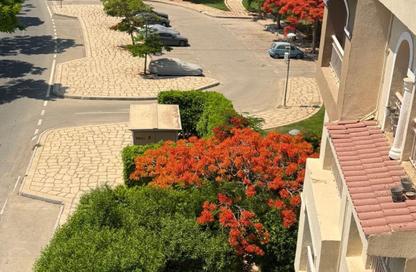 Apartment - 3 Bedrooms - 3 Bathrooms for rent in B1 - Madinaty - Cairo