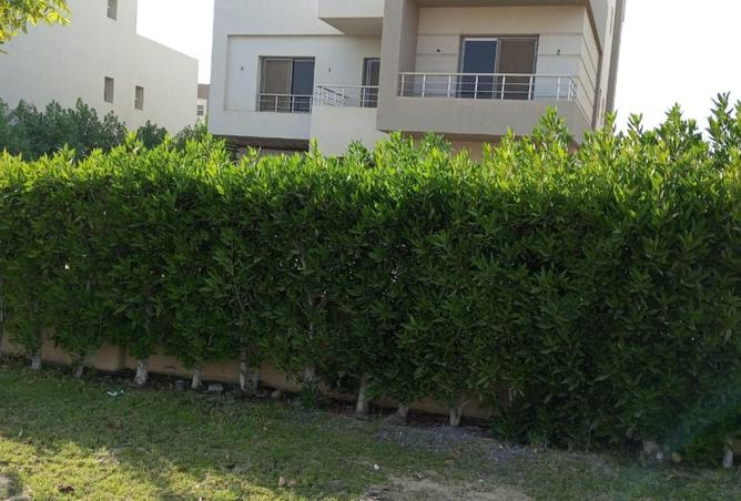 8641560 - Property Image 3