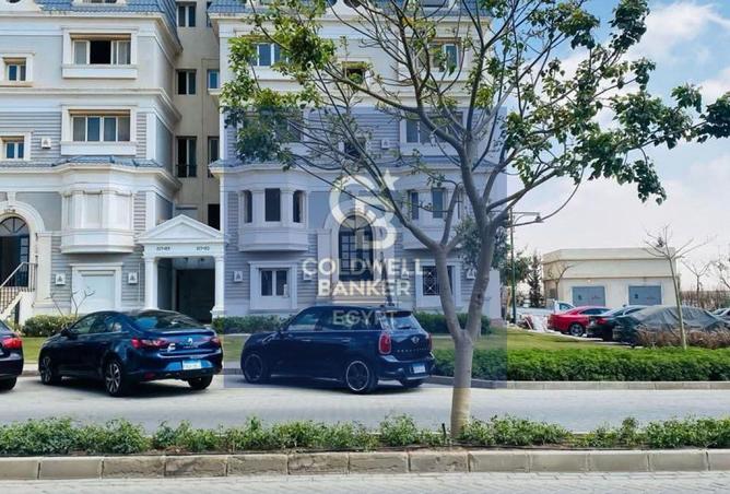 61683877 - Property Image 3