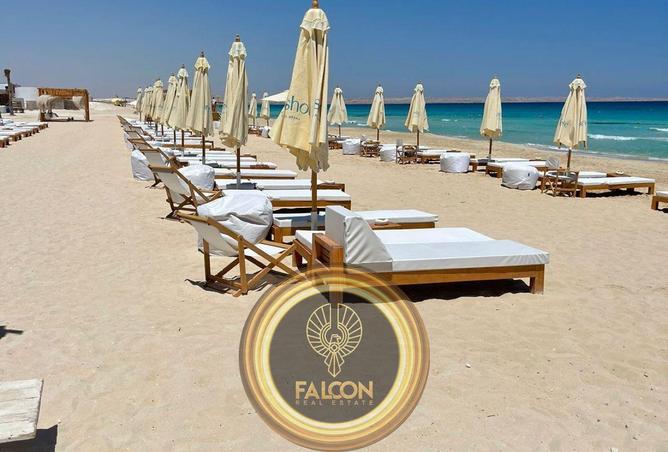 65925824 - صورة العقار 2