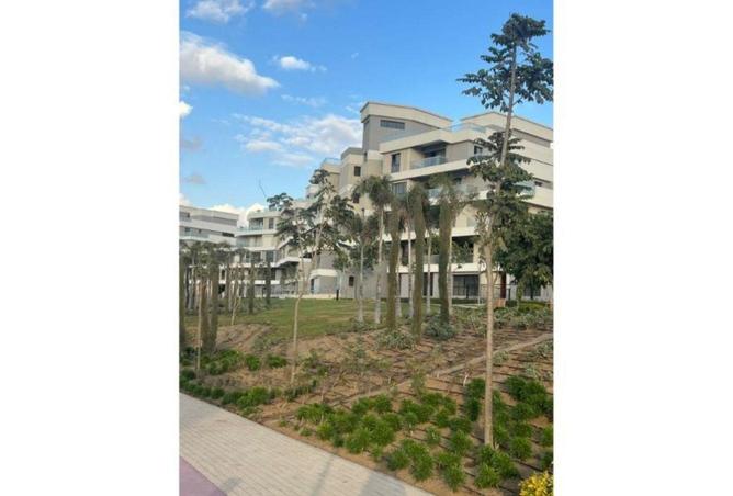 55761052 - Property Image 3