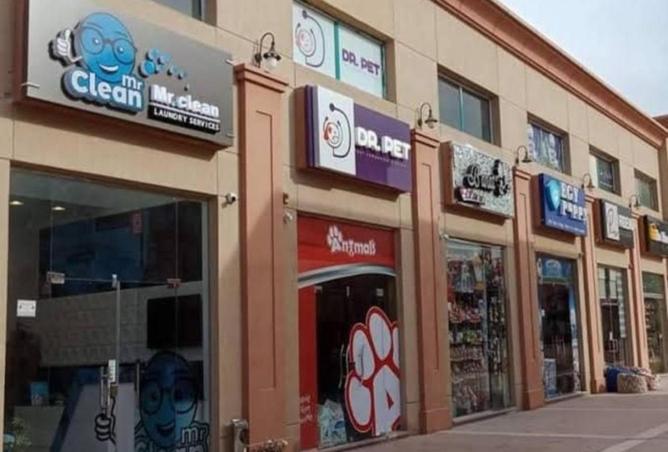 70099401 - الصورة الرئيسية للعقار