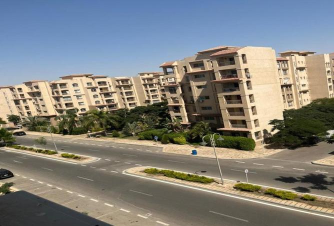 55498110 - صورة العقار 2