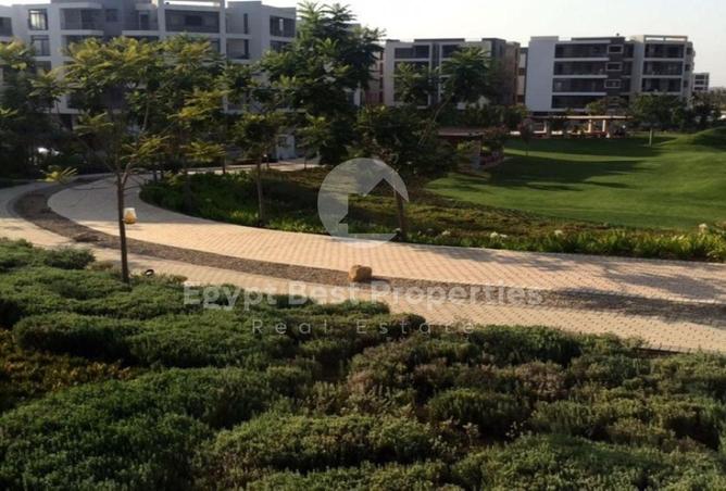 8552991 - Property Image 2