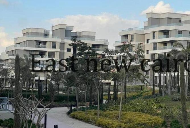 52716724 - Property Image 3