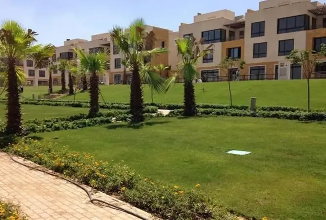 111874602 - Property Image 2