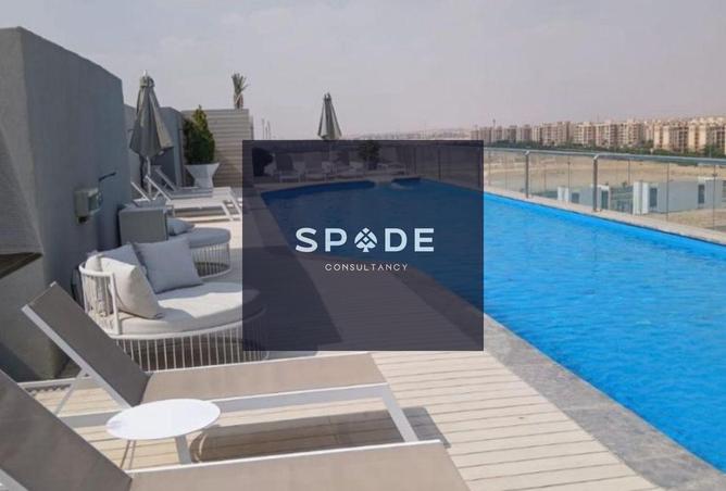 8429281 - Property Image 3