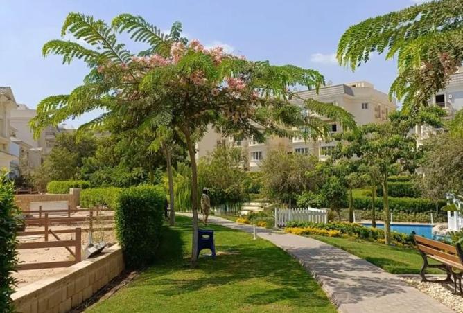 8698512 - صورة العقار 3