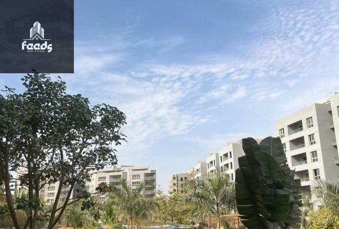 52453117 - صورة العقار 3