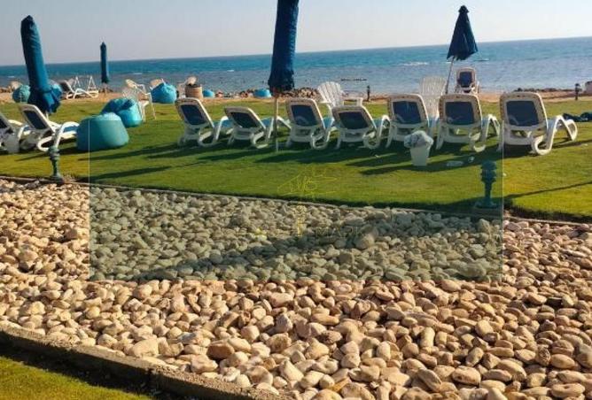 57994537 - صورة العقار 3