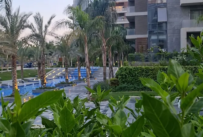 117019041 - Property Image 2