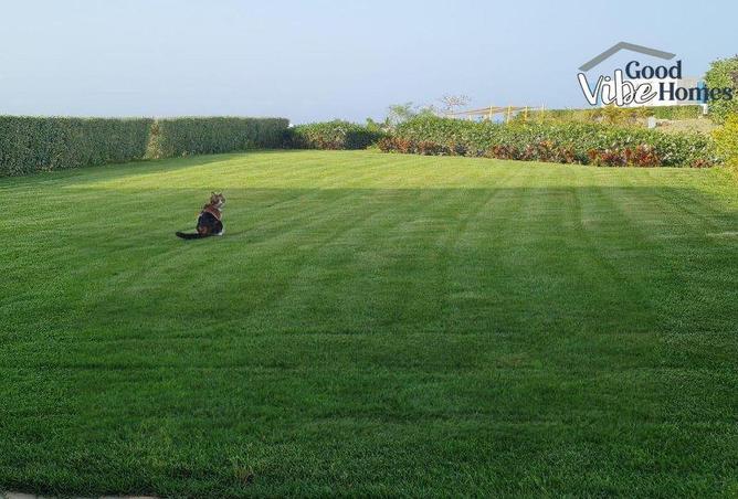 66696810 - Property Image 2