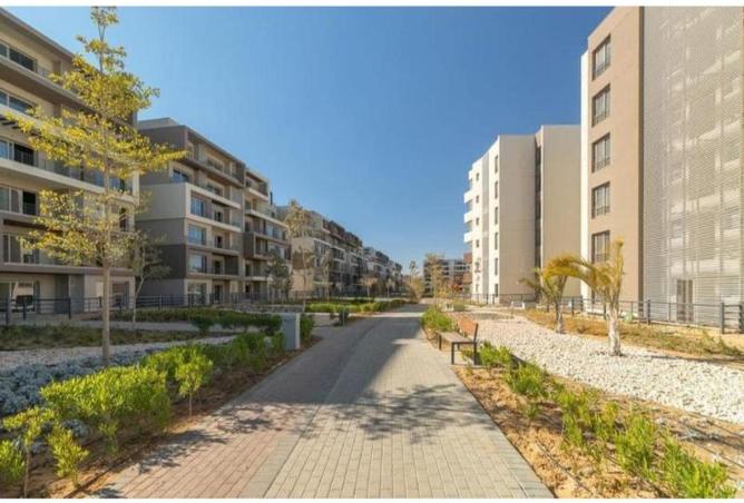 8698669 - Property Image 3