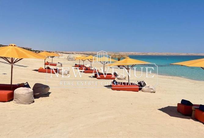 57488276 - صورة العقار 3