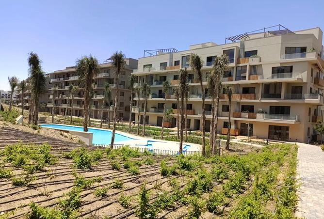 66435952 - Property Image 3