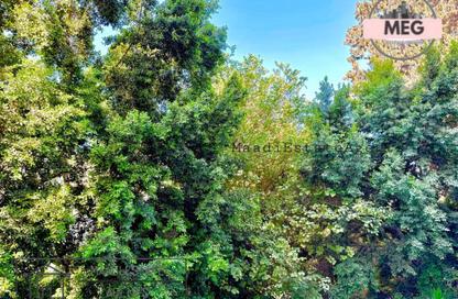 Apartment - 3 Bedrooms - 2 Bathrooms for rent in Street 208 - Degla - Hay El Maadi - Cairo