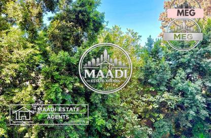 Apartment - 3 - 2 for rent in Street 208 - Degla - Hay El Maadi - Cairo Apartment - 3 - 2 for rent in Street 208 - Degla - Hay El Maadi - Cairo
