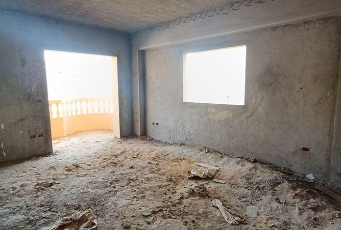 55508400 - Property Image 3