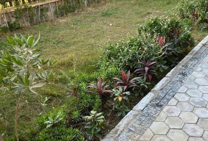 67610392 - Property Image 2