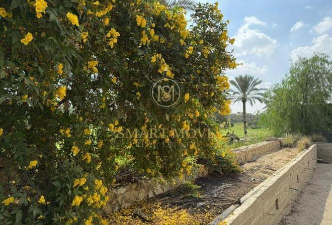 56500743 - صورة العقار 3