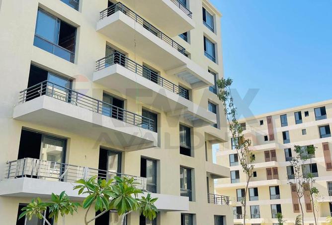 8477872 - Property Image 2