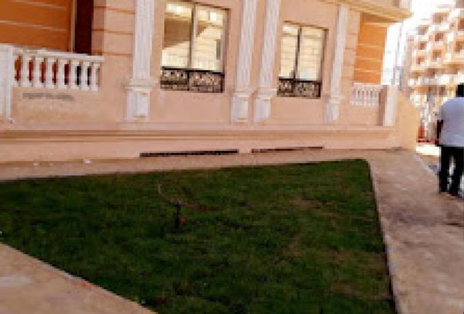 61930329 - صورة العقار 3