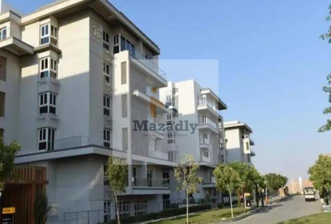 70369616 - Property Image 3