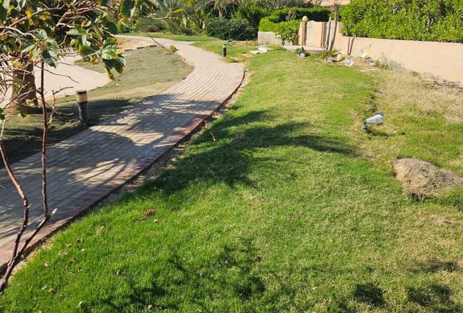 64648028 - الصورة الرئيسية للعقار