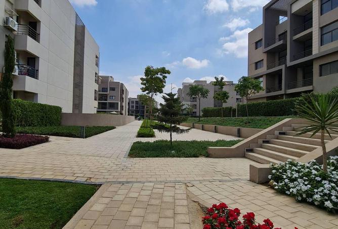 99392840 - Property Image 3