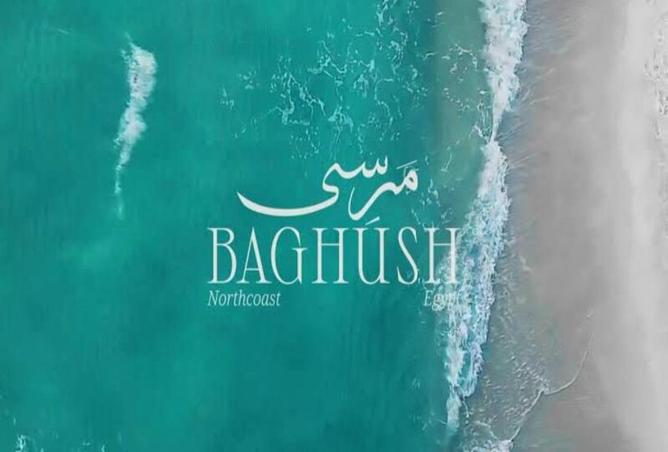 59249034 - Property Image 2