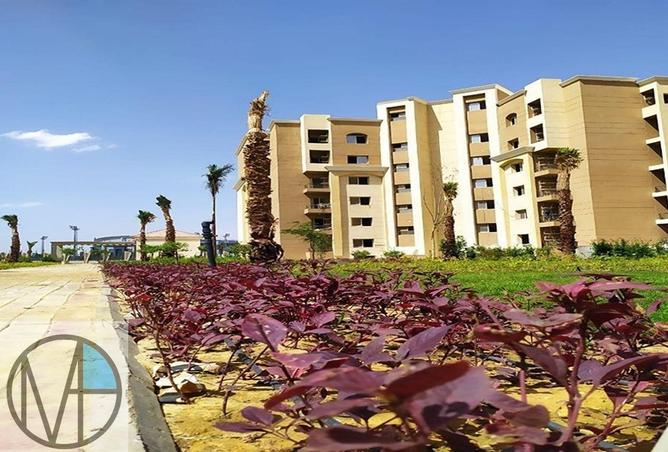 61691324 - Property Main Image