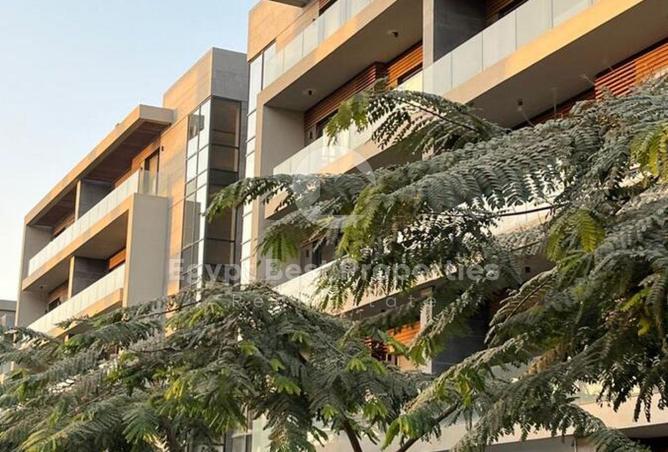 8567065 - صورة العقار 3