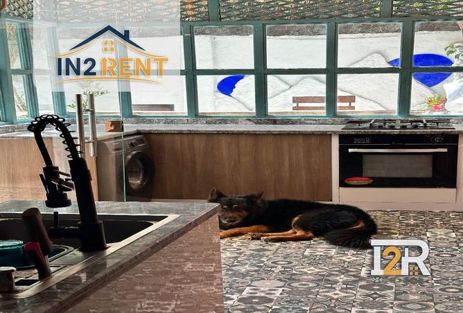 8623388 - Property Image 2