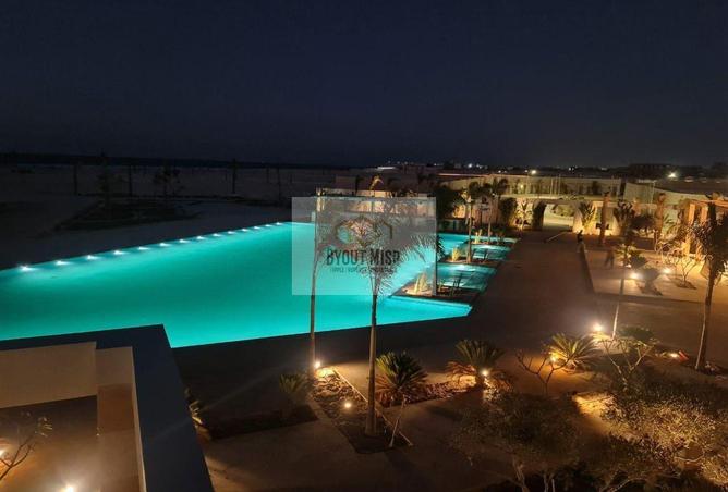 64378856 - Property Image 3