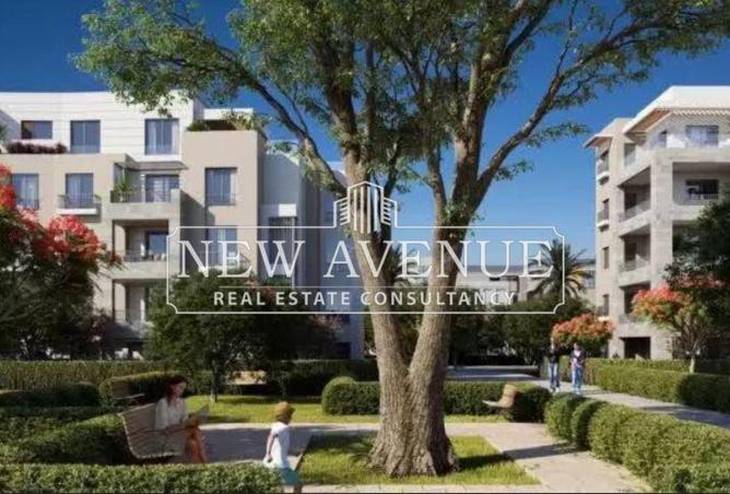 59492689 - Property Image 3