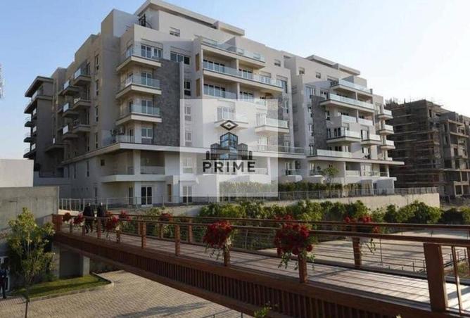 8669549 - Property Image 3