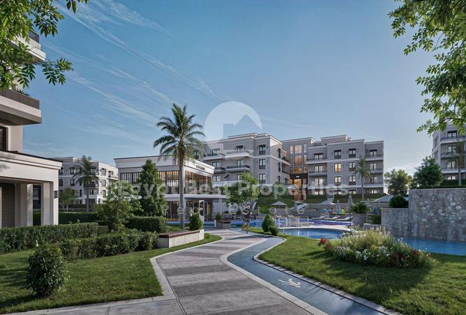 8595236 - Property Image 3