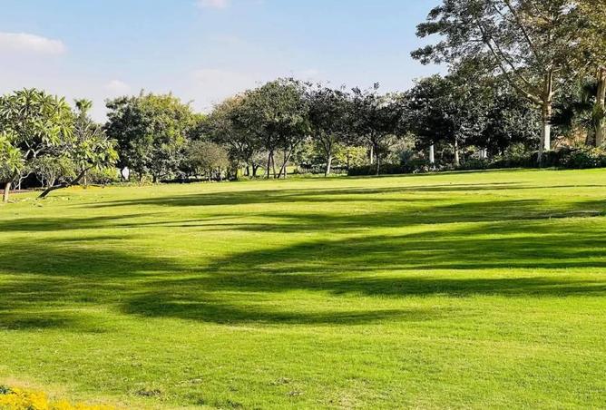 8566877 - صورة العقار 2