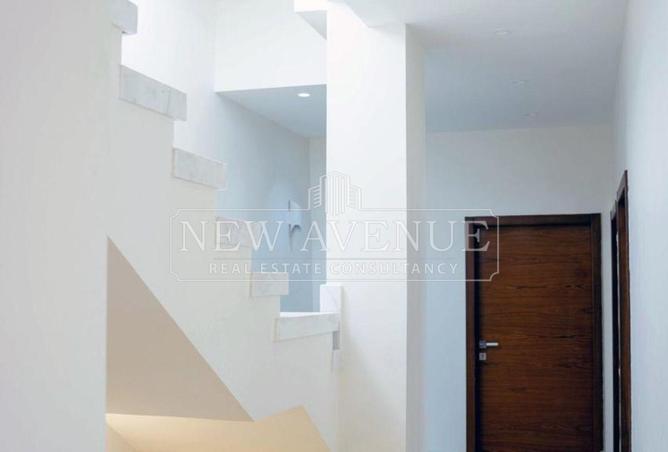 99117439 - Property Image 3