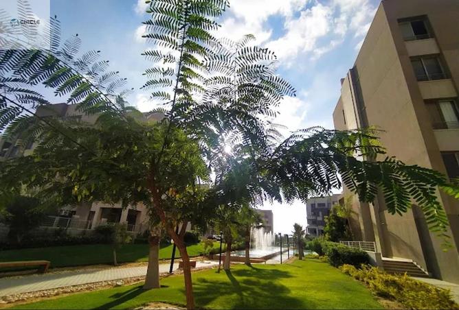 61334999 - Property Image 3