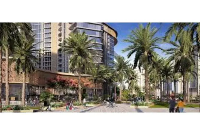 116487350 - Property Image 2