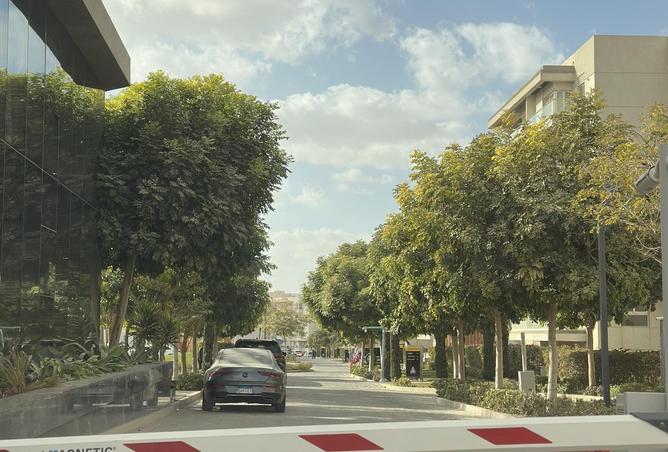 54239993 - Property Image 3