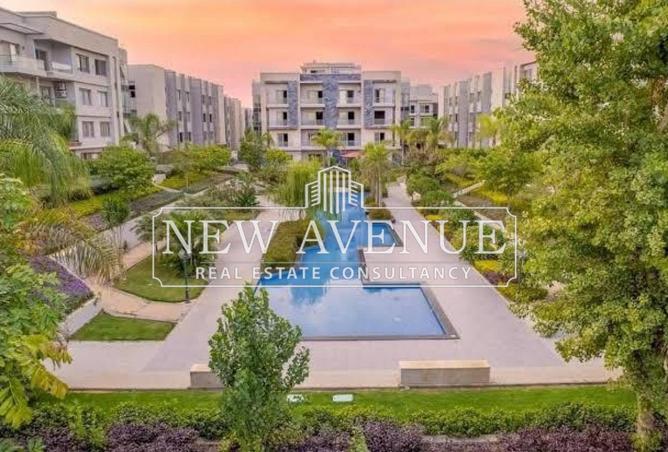 66427698 - Property Image 3